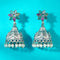 Oxidized Dome Jhumka Earrings from Trenzify Store.